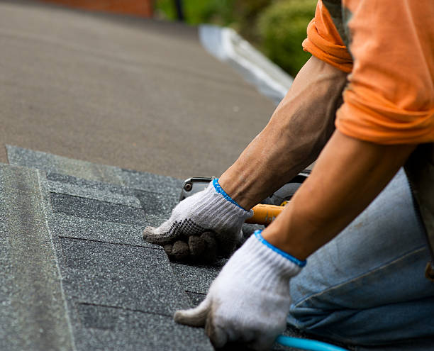 Best Storm Damage Roof Repair  in Coplay, PA
